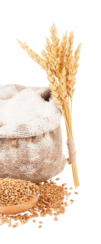 Dreamworth Artisan Bakery